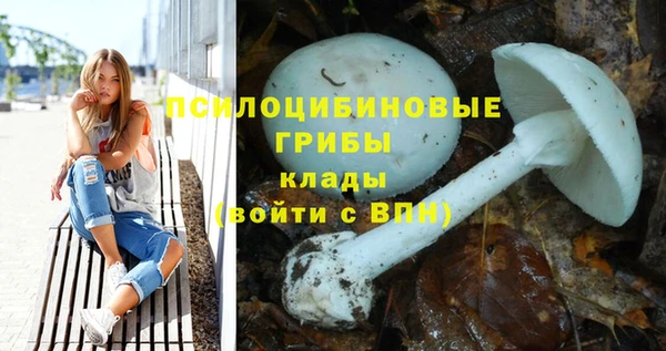 дмт Надым
