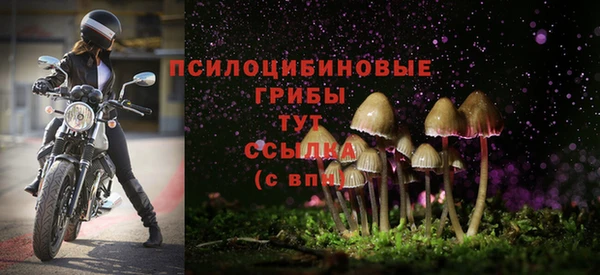 дмт Надым