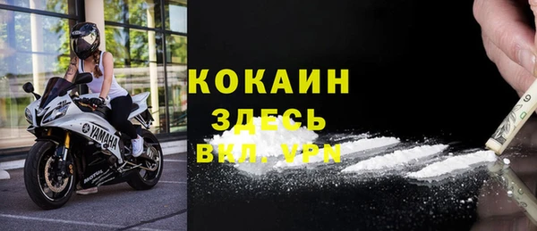 шишки Видное